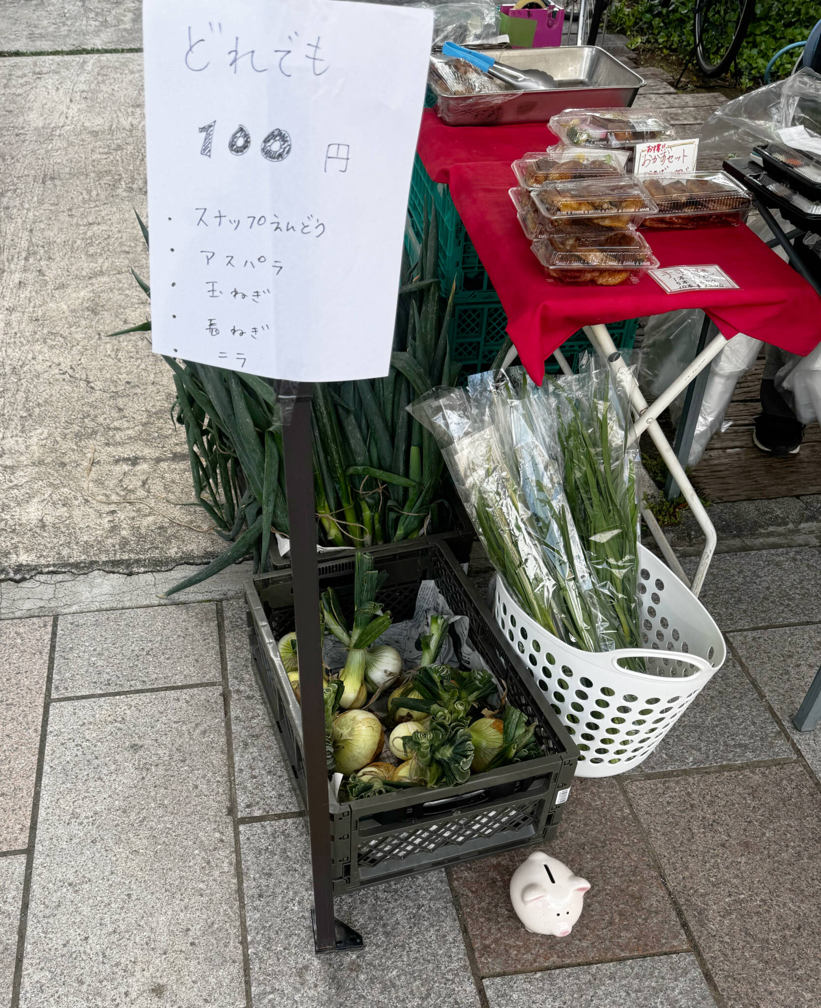 採れたてのお野菜を販売しています
